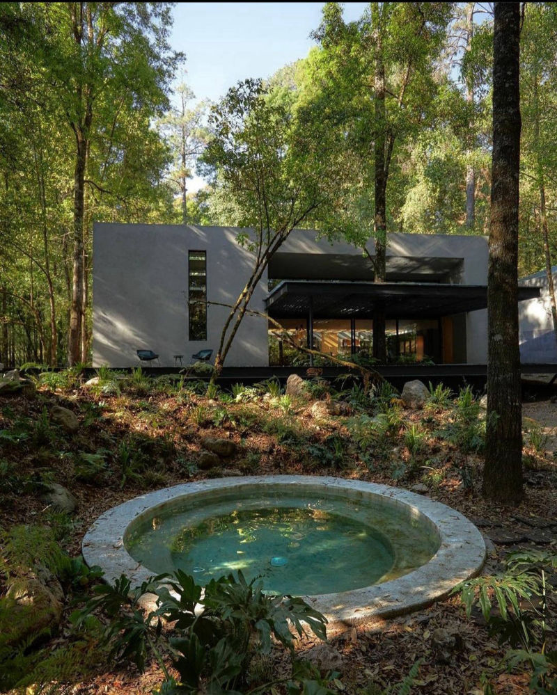 Circular pool and grey building façade among trees