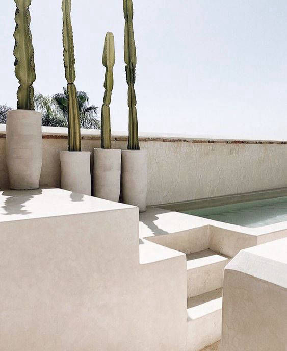 Light-coloured pool surround and steps beside cactus planters