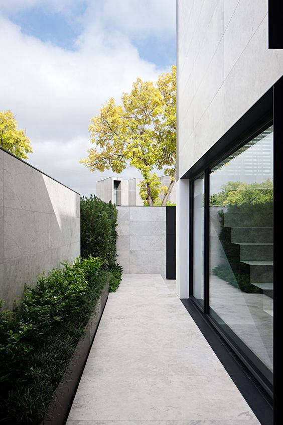 Light-coloured walkway between glazing and a planted wall