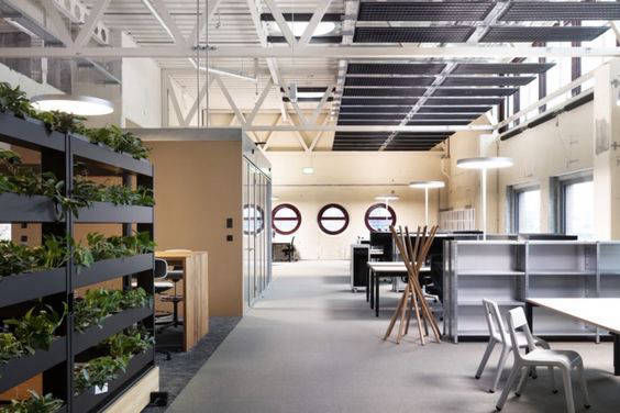 Grey flooring in a high-ceilinged office divided by planted shelves